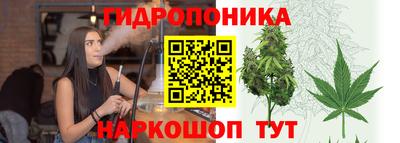 соль ск Шахты